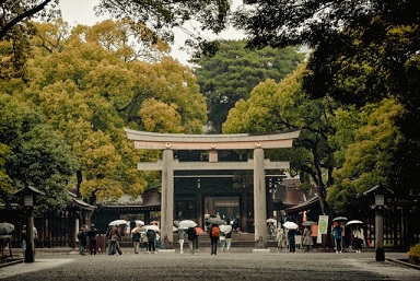 雨の中、神社に参拝する人たちと鳥居