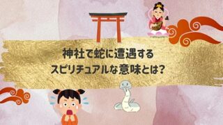 神社で蛇に遭遇するスピリチュアルな意味は？吉兆の知らせが多いって本当？